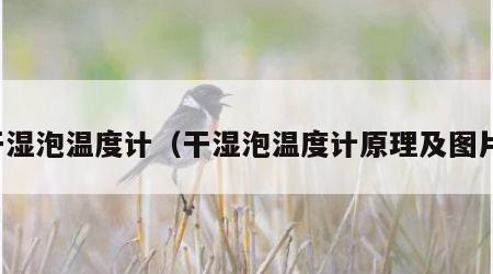 干湿泡温度计（干湿泡温度计原理及图片）
