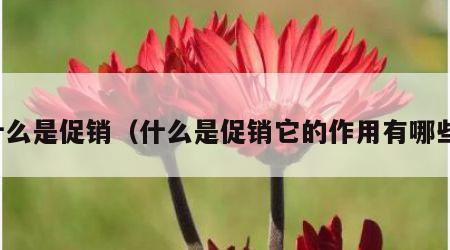 什么是促销（什么是促销它的作用有哪些）