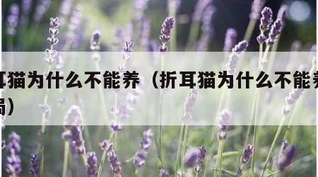 折耳猫为什么不能养（折耳猫为什么不能养是骗局）