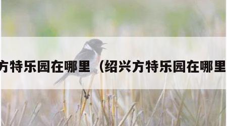 方特乐园在哪里（绍兴方特乐园在哪里）
