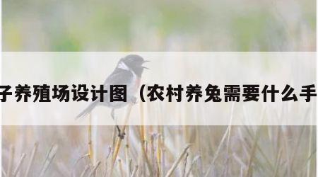 兔子养殖场设计图（农村养兔需要什么手续）