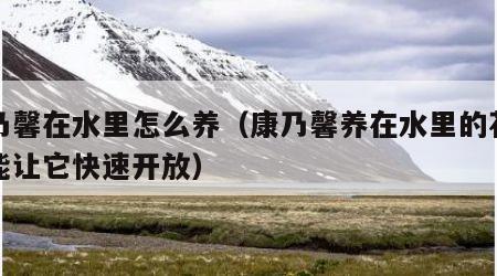 康乃馨在水里怎么养（康乃馨养在水里的花怎么能让它快速开放）