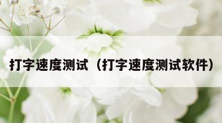 打字速度测试（打字速度测试软件）
