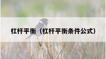 杠杆平衡（杠杆平衡条件公式）