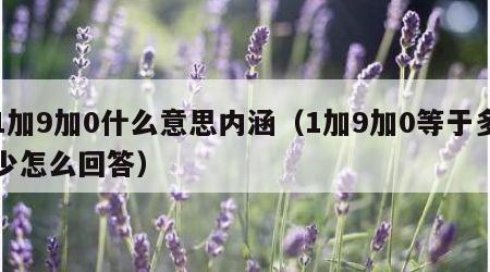 1加9加0什么意思内涵（1加9加0等于多少怎么回答）