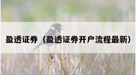 盈透证券（盈透证券开户流程最新）