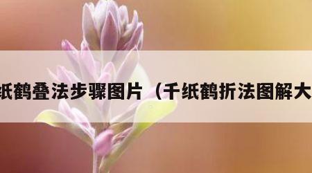 千纸鹤叠法步骤图片（千纸鹤折法图解大全）