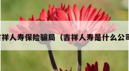 吉祥人寿保险骗局（吉祥人寿是什么公司）