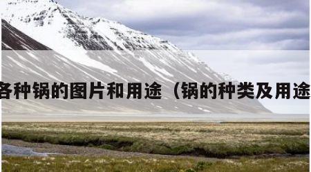 各种锅的图片和用途（锅的种类及用途）