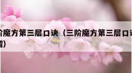 三阶魔方第三层口诀（三阶魔方第三层口诀顺口溜）
