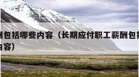 薪酬包括哪些内容（长期应付职工薪酬包括哪些内容）