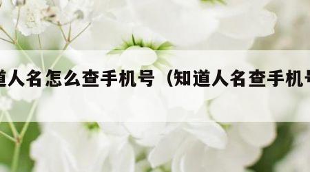 知道人名怎么查手机号（知道人名查手机号码）
