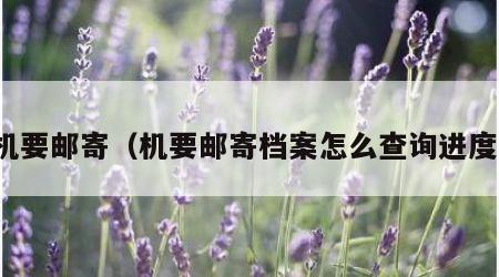 机要邮寄（机要邮寄档案怎么查询进度）