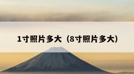 1寸照片多大（8寸照片多大）