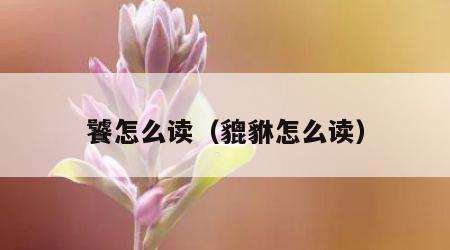 饕怎么读（貔貅怎么读）