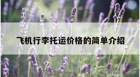 飞机行李托运价格的简单介绍