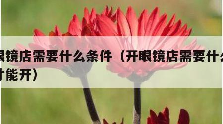 开眼镜店需要什么条件（开眼镜店需要什么条件才能开）