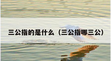 三公指的是什么（三公指哪三公）