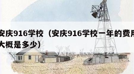 安庆916学校（安庆916学校一年的费用大概是多少）