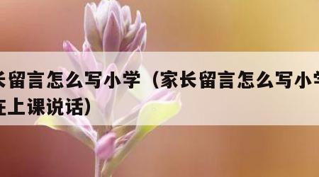 家长留言怎么写小学（家长留言怎么写小学孩子在上课说话）
