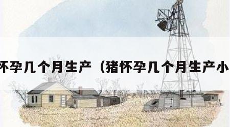 猪怀孕几个月生产（猪怀孕几个月生产小牛）