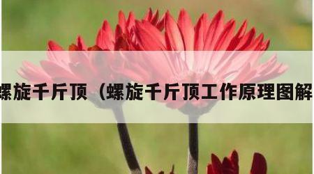 螺旋千斤顶（螺旋千斤顶工作原理图解）