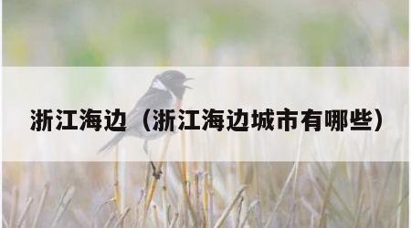 浙江海边（浙江海边城市有哪些）