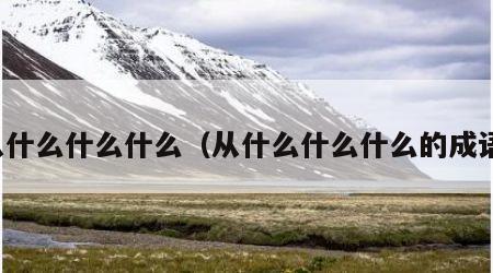 从什么什么什么（从什么什么什么的成语）