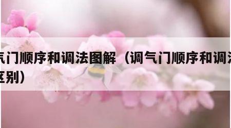 调气门顺序和调法图解（调气门顺序和调法图解区别）