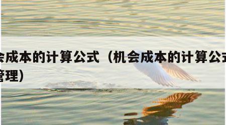 机会成本的计算公式（机会成本的计算公式财务管理）