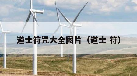 道士符咒大全图片（道士 符）