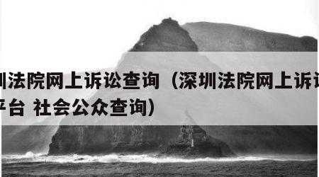 深圳法院网上诉讼查询（深圳法院网上诉讼服务平台 社会公众查询）