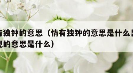 情有独钟的意思（情有独钟的意思是什么昙花一现的意思是什么）