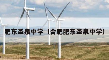 肥东圣泉中学（合肥肥东圣泉中学）