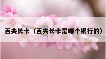 百夫长卡（百夫长卡是哪个银行的）