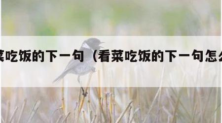 看菜吃饭的下一句（看菜吃饭的下一句怎么接）