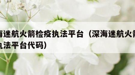深海迷航火箭检疫执法平台（深海迷航火箭检疫执法平台代码）