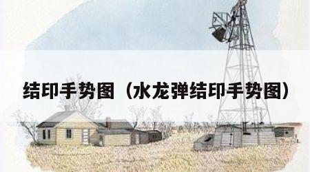 结印手势图（水龙弹结印手势图）
