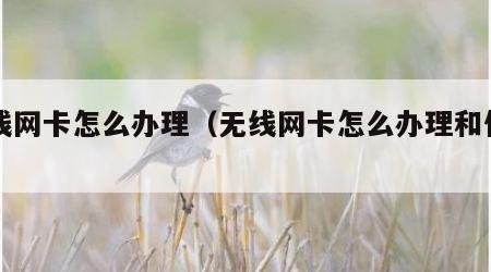 无线网卡怎么办理（无线网卡怎么办理和使用）