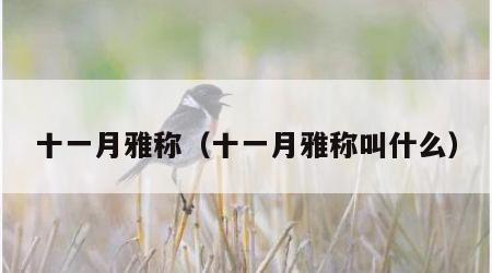 十一月雅称（十一月雅称叫什么）