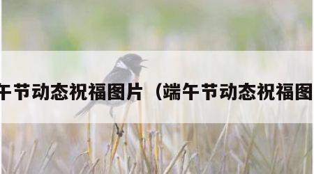 端午节动态祝福图片（端午节动态祝福图片）