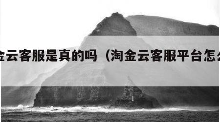淘金云客服是真的吗（淘金云客服平台怎么样）
