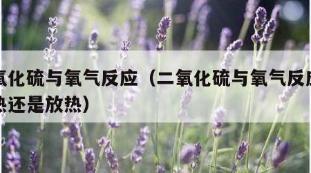 二氧化硫与氧气反应（二氧化硫与氧气反应是吸热还是放热）