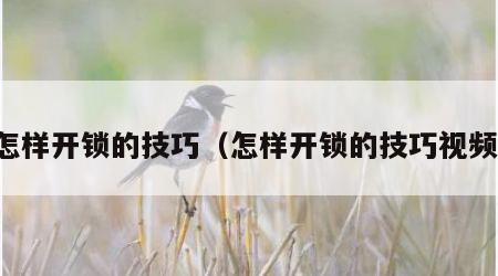 怎样开锁的技巧（怎样开锁的技巧视频）