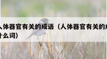 与人体器官有关的成语（人体器官有关的成语是什么词）