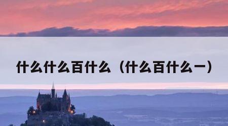 什么什么百什么（什么百什么一）
