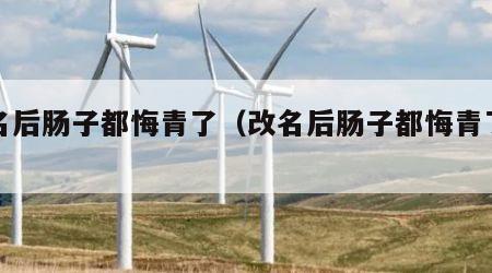 改名后肠子都悔青了（改名后肠子都悔青了的人）