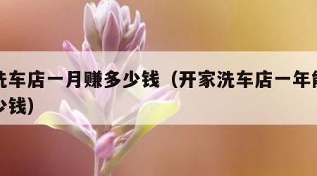 开洗车店一月赚多少钱（开家洗车店一年能挣多少钱）