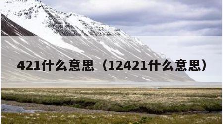 421什么意思（12421什么意思）