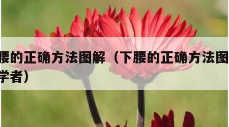 下腰的正确方法图解（下腰的正确方法图解 初学者）